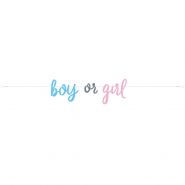 boy or girl baner