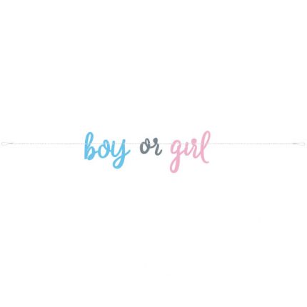 boy or girl baner