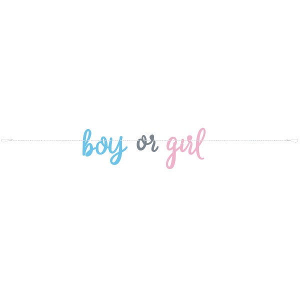 boy or girl baner