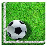 fudbal salvete