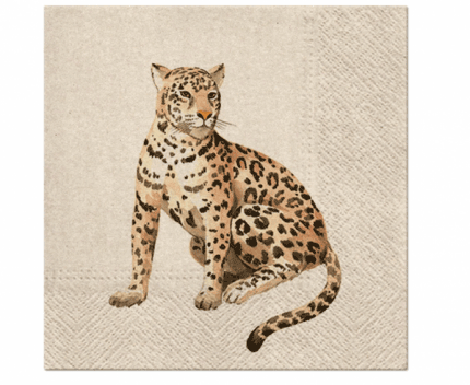 leopard salvete