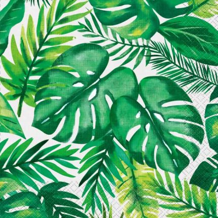 listići palme tropical