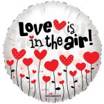 love is in the air balon
