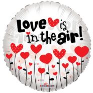 love is in the air balon