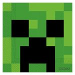 minecraft salvete