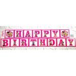 mini mouse banner