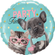 party time kuca i maca
