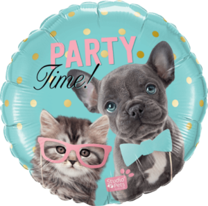 party time kuca i maca