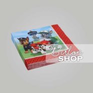 paw patrol salvete