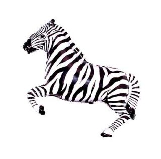 zebra balon